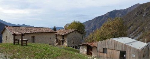 Contrada Bricconi - Azienda agricola